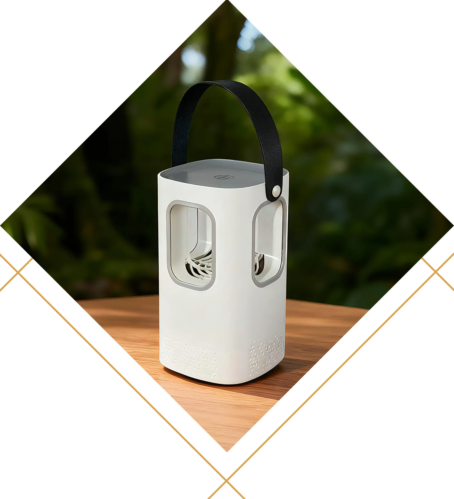 Вбивця комарів